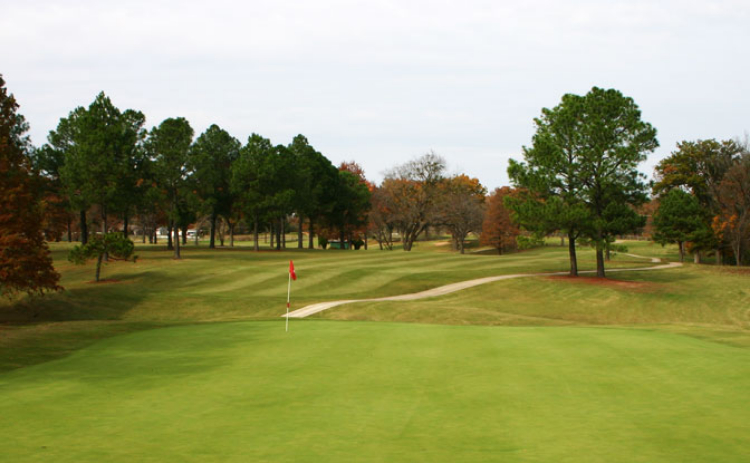 view of golf course green with flag